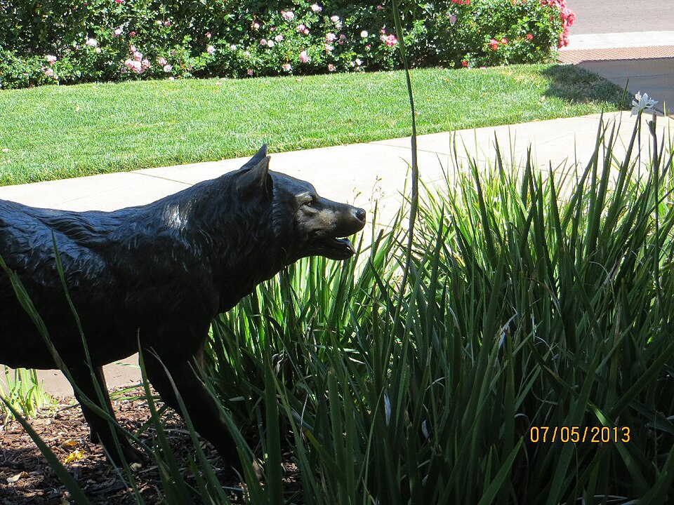 The Fountains at Roseville
